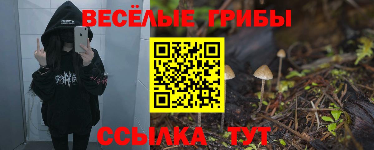 Псилоцибиновые грибы MAGIC MUSHROOMS  Вход с VPN  цена   Петропавловск-Камчатский 